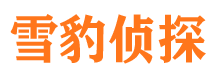 多伦寻人公司